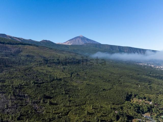 Terreno en venta en La orotava, Canarias