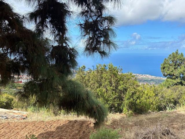 Terreno en venta en Barroso, La orotava