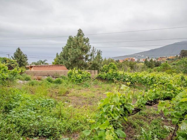 Terreno en venta en El Sauce, La orotava