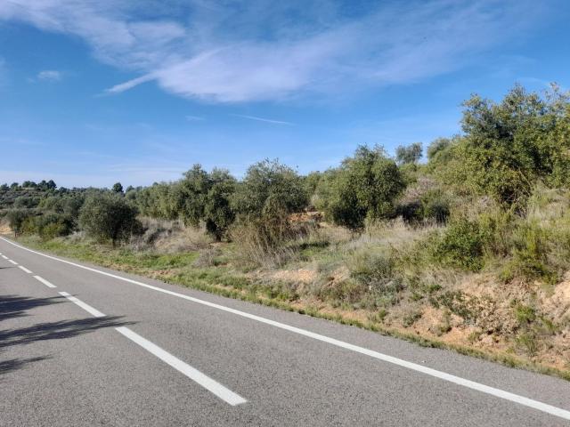 Terreno en venta en Ribera d'Ebre, Catalunya