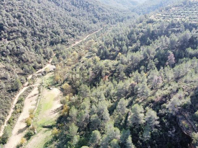 Terreno en venta en Garrigues, Catalunya
