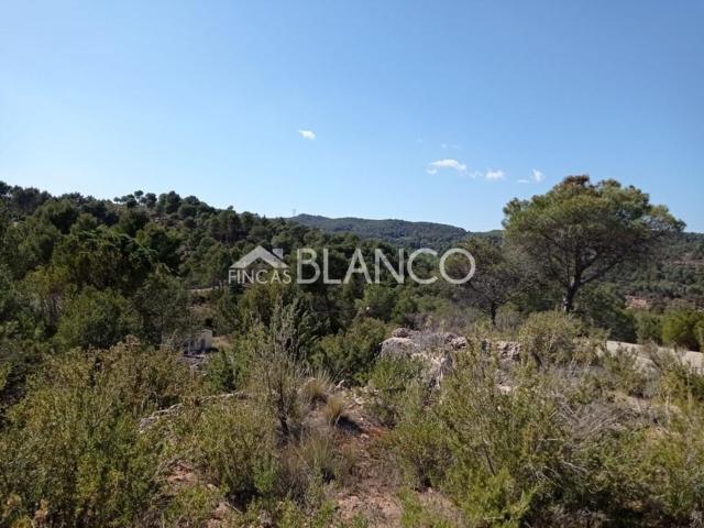 Terreno en venta en Anoia, Catalunya