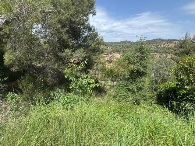 Terreno en venta en Anoia, Catalunya