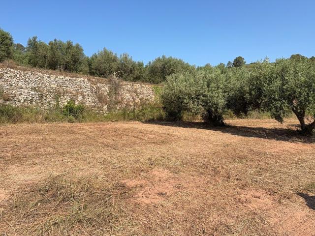 Terreno en venta en Tarragonès, Catalunya