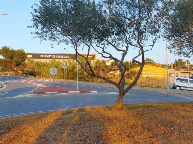 Terreno en venta en Palafrugell, Girona