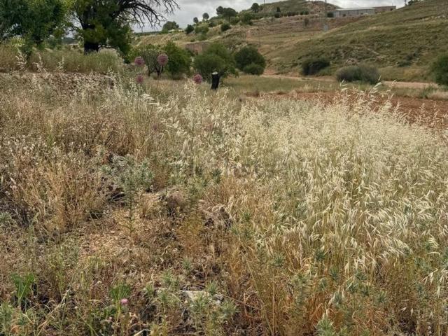 Terreno en venta en Fuentealbilla, Castilla-La Mancha