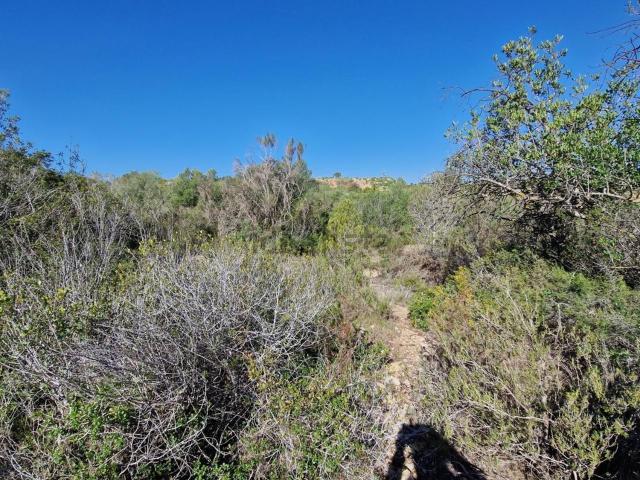 Terreno en venta en Tarragonès, Catalunya