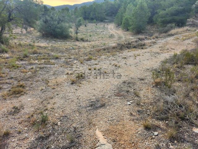 Terreno en venta en Cases de l'Ombria, el Vinalopó Mitjà / El Vinalopó Medio