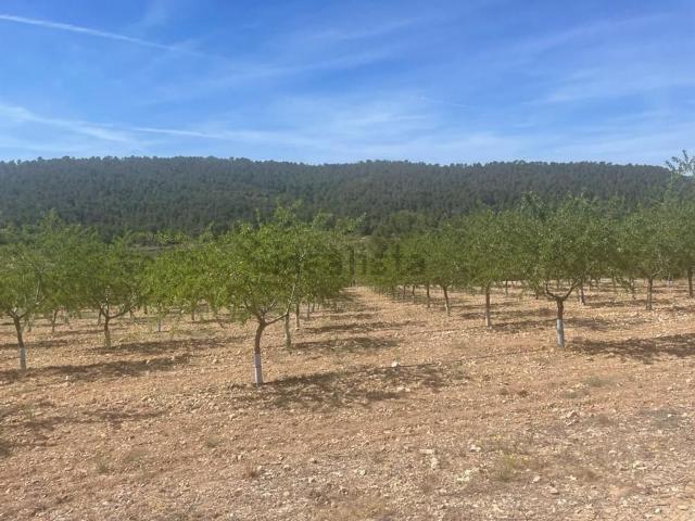 Terreno en venta en Tomelloso, Castilla-La Mancha