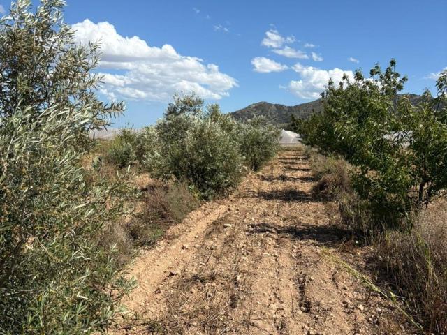 Terreno en venta en la Romana, Alacant / Alicante