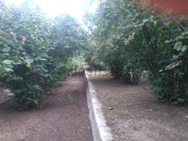 Terreno en venta en La Selva Del Camp, Tarragona