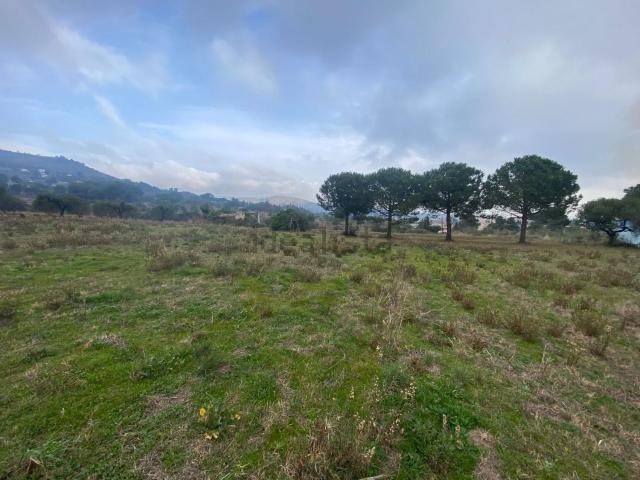 Terreno en venta en La Selva Del Camp, Tarragona
