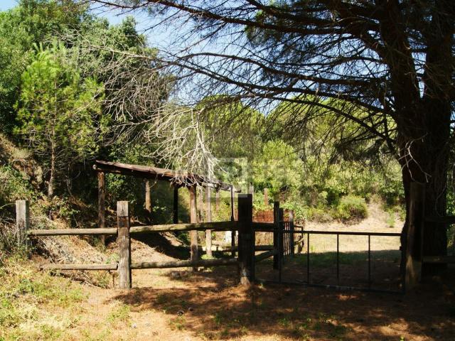 Terreno en venta en La Selva Del Camp, Tarragona