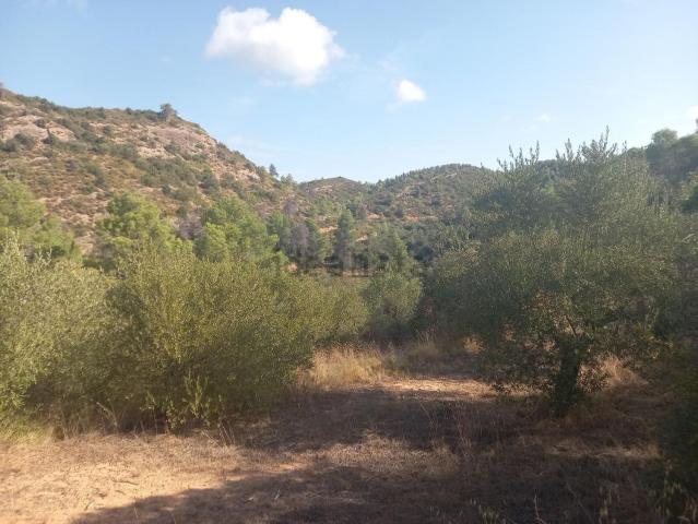Terreno en venta en Ribera d'Ebre, Catalunya
