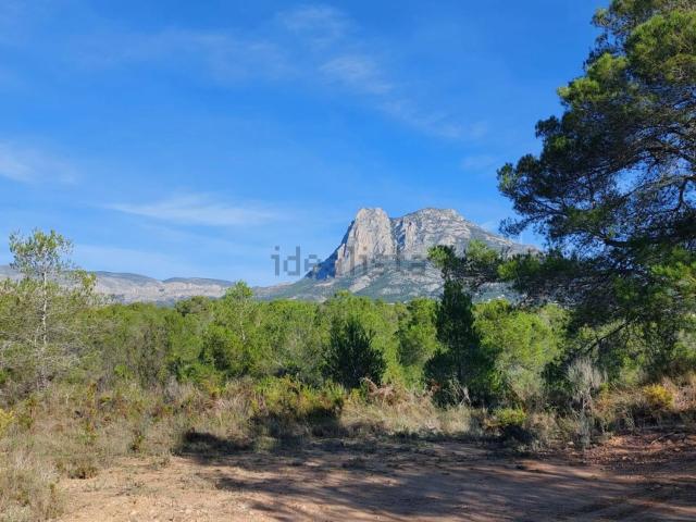 Terreno en venta en la Marina Baixa, Valencia