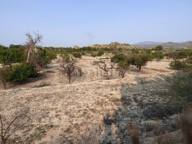 Terreno en venta en Plans, la Marina Baixa