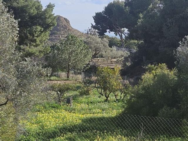 Terreno en alquiler en Plans, la Marina Baixa