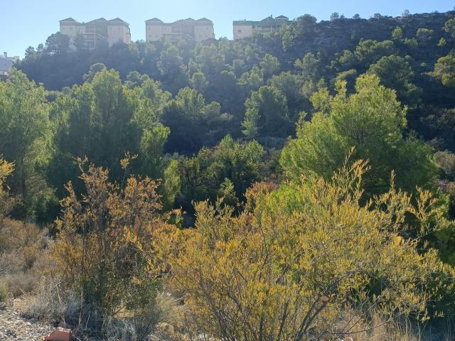 Terreno en venta en Cales i Talaies, la Marina Baixa