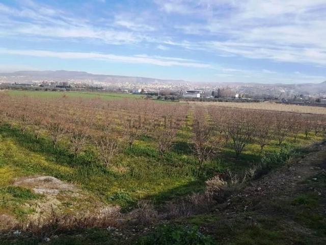 Terreno en venta en Comarca de la Vega de Granada, Andalucía