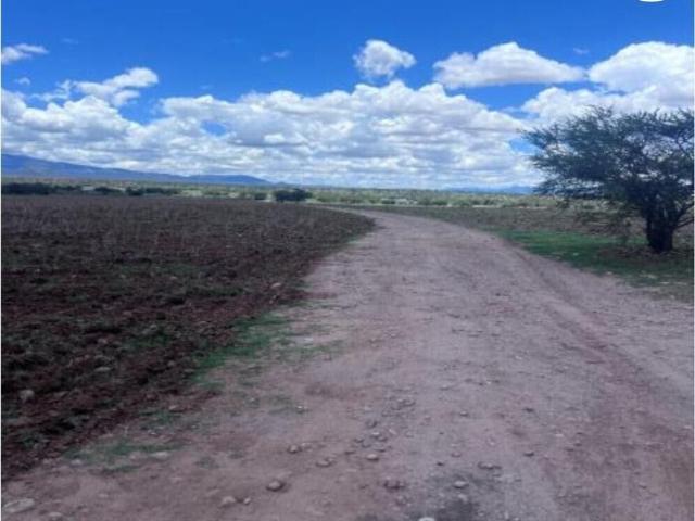 Terreno en venta en Vicente Guerrero, Durango