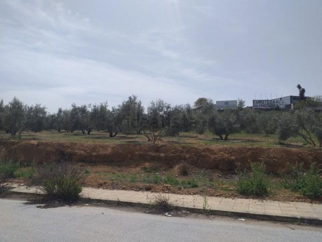 Terreno en venta en Comarca de la Vega de Granada, Andalucía