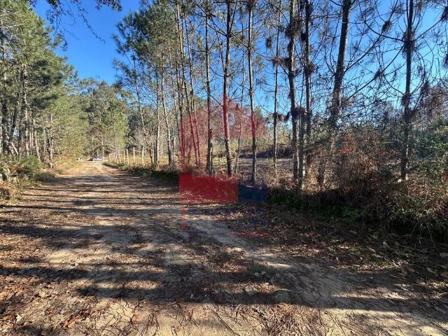 Terreno venda em Amares, Braga