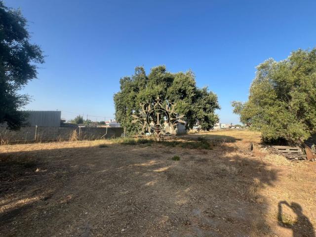 Terreno venda em Lagoa da Palha, Palmela