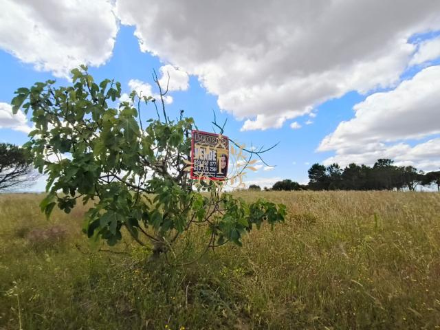 Terreno venda em Lagoa do Calvo, Palmela