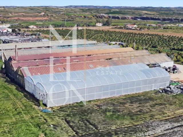 Terreno venda em Lagoa, Faro