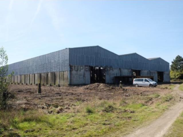Armazém venda em Viana Do Castelo