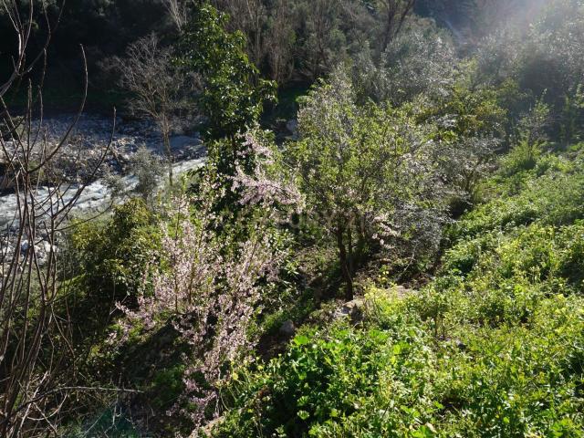Terreno en venta en Comarca de la Alpujarra Granadina, Andalucía