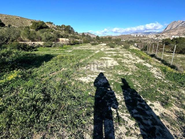 Terreno en alquiler en la Marina Baixa, Valencia