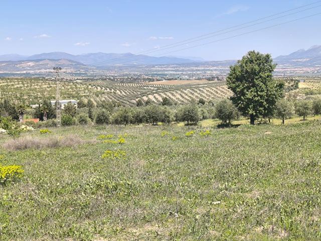 Terreno en venta en Comarca de la Vega de Granada, Andalucía