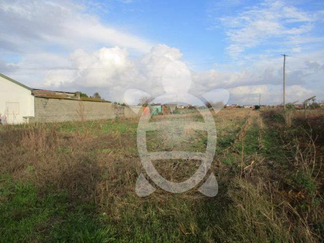 Terreno venda em Figueira Da Foz, Coimbra