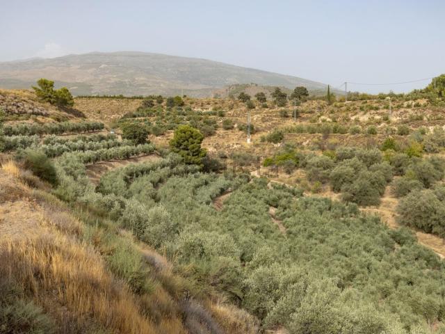 Terreno en venta en Talará, Comarca del Valle de Lecrín