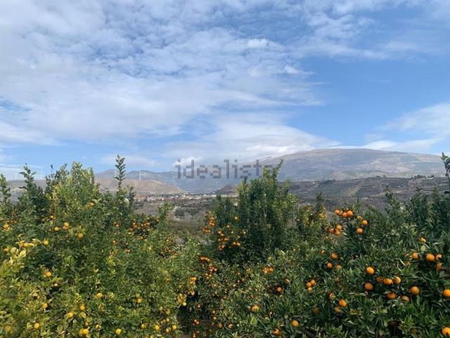 Terreno en venta en Talará, Lecrín