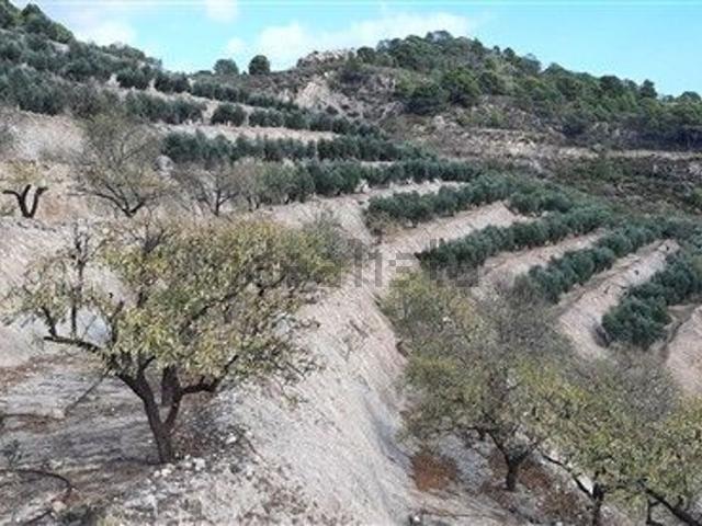 Terreno en venta en El Cerrillo, Lecrín