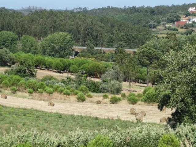 Terreno venda em Machados, Leiria