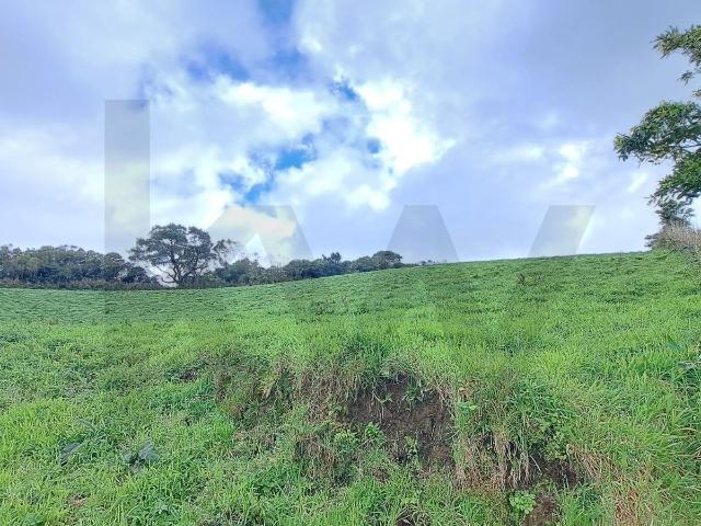 Terreno venda em Açores
