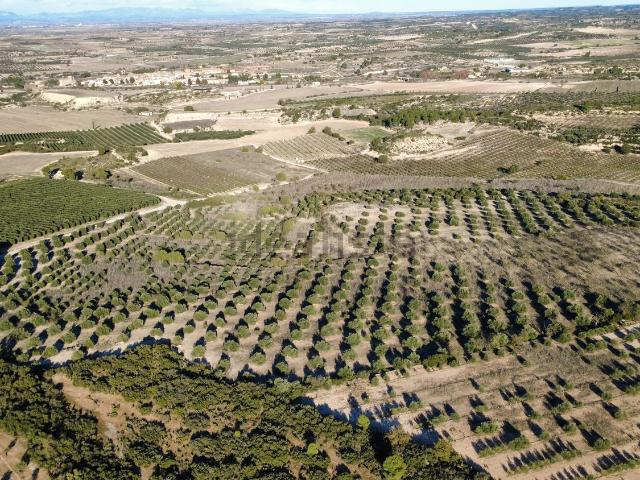 Terreno en venta en Garrigues, Catalunya