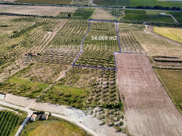 Terreno en venta en Garrigues, Catalunya