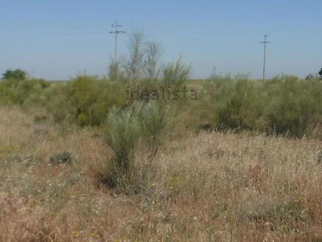 Terreno en venta en Segrià, Catalunya