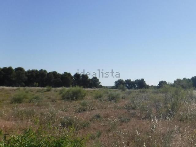 Terreno en venta en Segrià, Catalunya