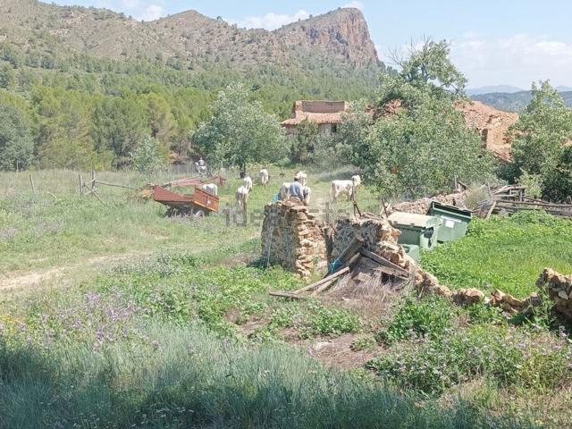 Terreno en venta en Letur, Castilla-La Mancha