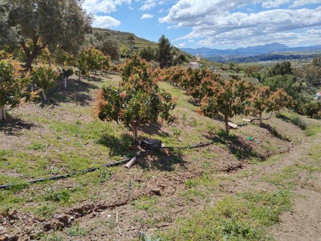 Terreno en venta en Zalea, Pizarra