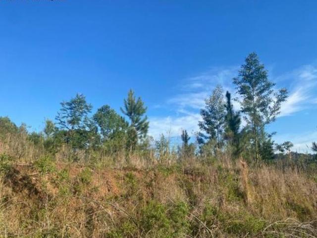 Terreno venda em Região Geográfica Imediata de Caxias do Sul, Nova Petrópolis