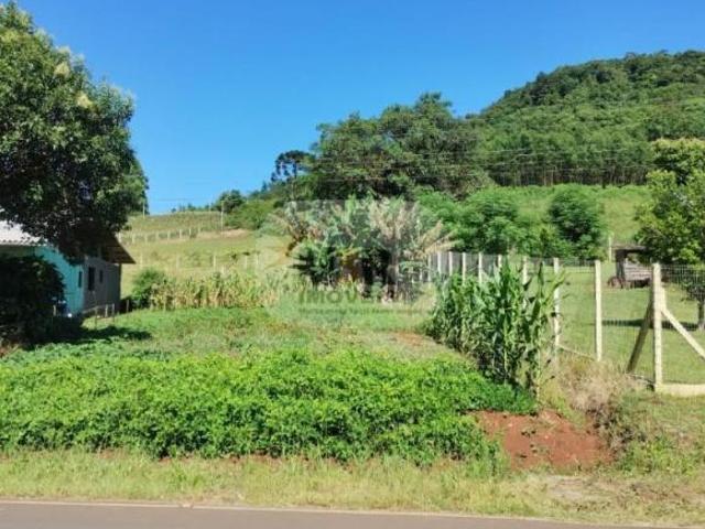 Terreno venda em Linha Nova