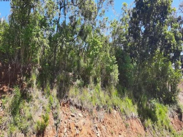 Terreno venda em Nova Petrópolis