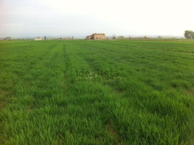 Terreno en venta en Pla d'Urgell, Catalunya