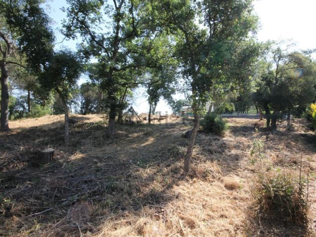 Terreno en venta en Mont-rei, Gironès